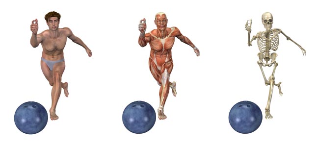 Physiotherapy-for-optimum-performance-at-therapy-one-yonge-and-finch-toronto-area